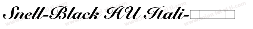 Snell-Black HU Itali字体转换